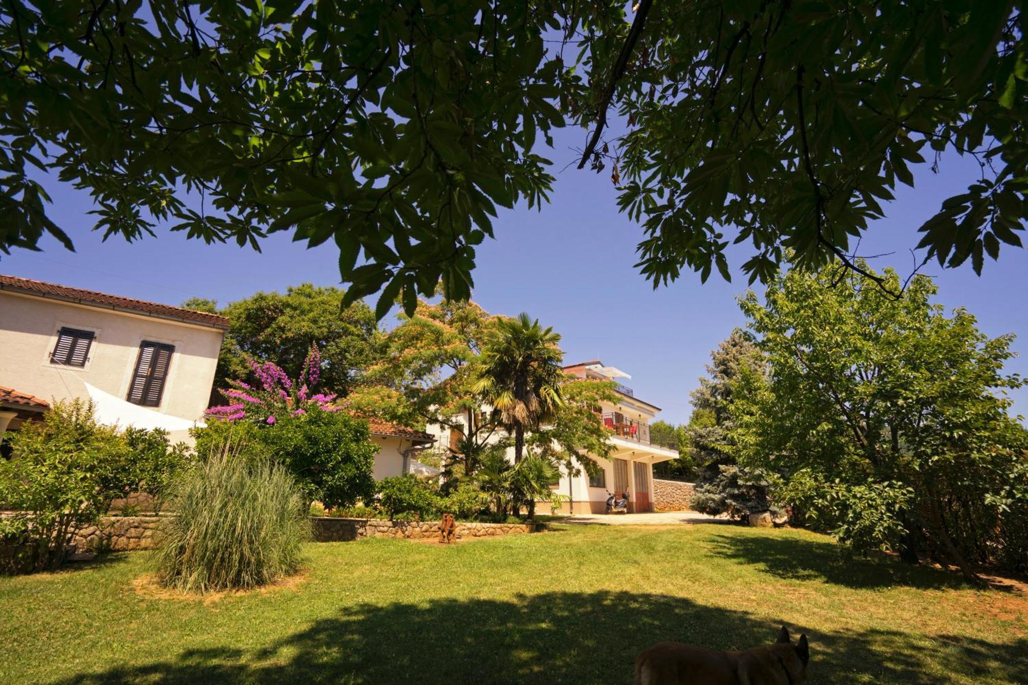 Apartment Riviera Blue With Seaview, Private Whirlpools And Parking Near Opatija
